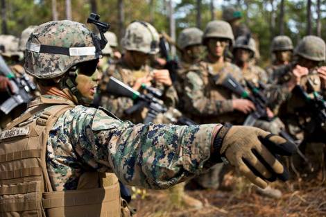  Marine Corps Sgt. David Rogers passes final instructions before an assault during the Infantry Integrated Field Training Exercise Nov. 15. (U.S. Marine Corps photo by Chief Warrant Officer Paul Mancuso)