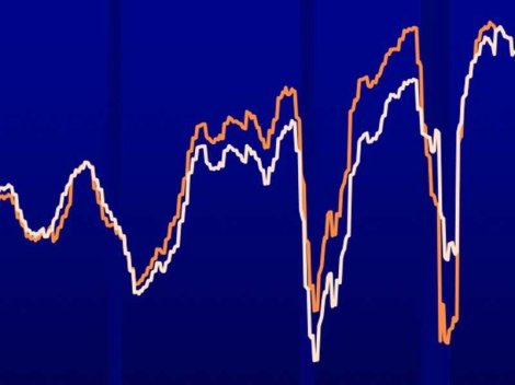 blackstone-profit-margins